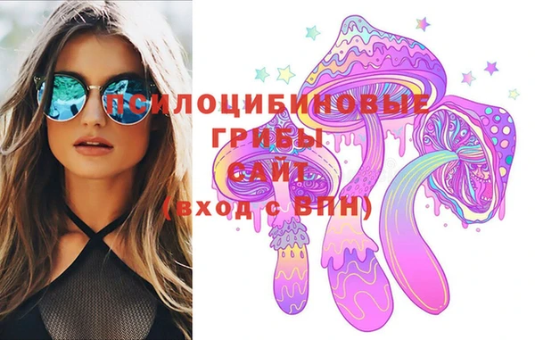 марки nbome Белокуриха