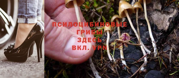 спиды Бугульма