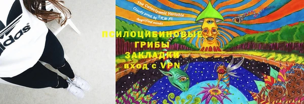 марки nbome Белокуриха