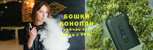 соль ск Богородск