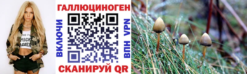купить наркоту kraken Галлюциногенные грибы мицелий Видное