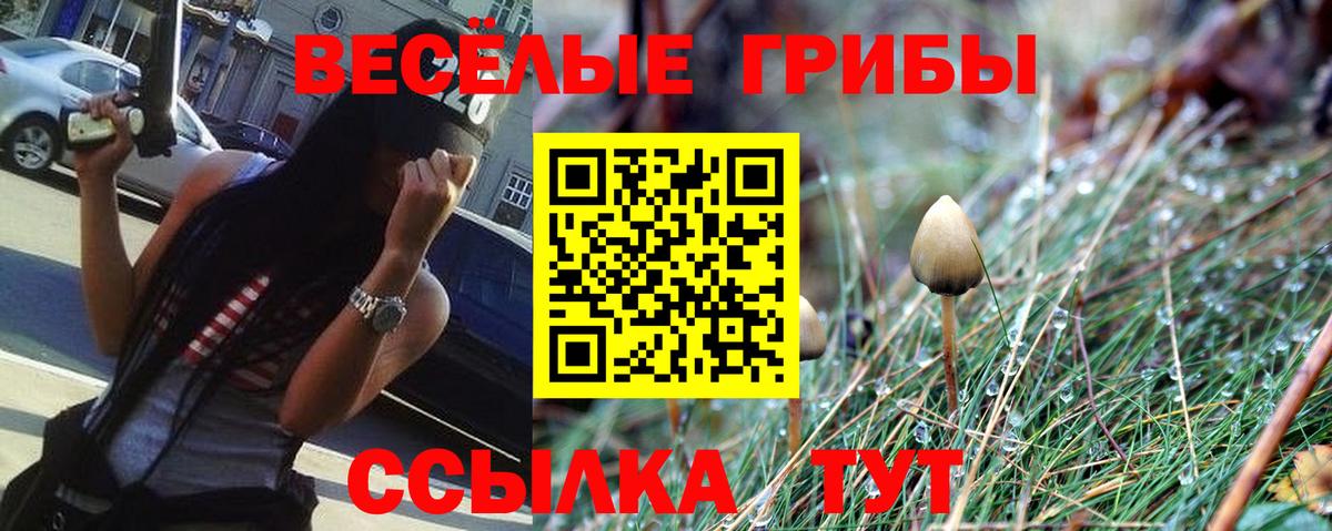 Галлюциногенные грибы Psilocybe  Псилоцибиновые грибы мухоморы  Вход с VPN  Видное 