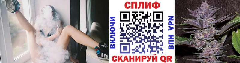 Конопля MAZAR Видное