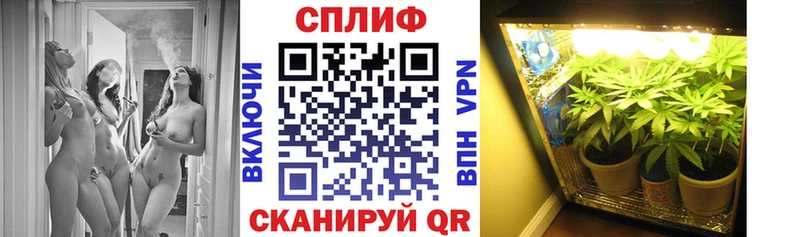 Бошки Шишки ГИДРОПОН  блэк спрут ссылки  Видное 